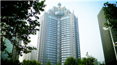 洛陽開元礦業(yè)集團有限公司，始成立于2006年，主營業(yè)務(wù)涵蓋礦產(chǎn)品貿(mào)易、礦山開發(fā)、酒店服務(wù)、房地產(chǎn)開發(fā)和金融投資等，集團位于洛陽市開元大道世貿(mào)中心；中國民主建國會會員、青年企業(yè)家許明月先生是公司創(chuàng)始人和實際控制人，目前任洛陽開元礦業(yè)集團有限公司董事長兼總經(jīng)理。